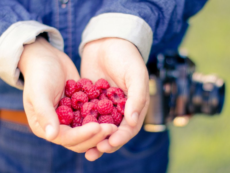 Like it or not, the Paleo diet is making its rounds. Here’s an Aerinlé lowdown.